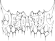 Desolator