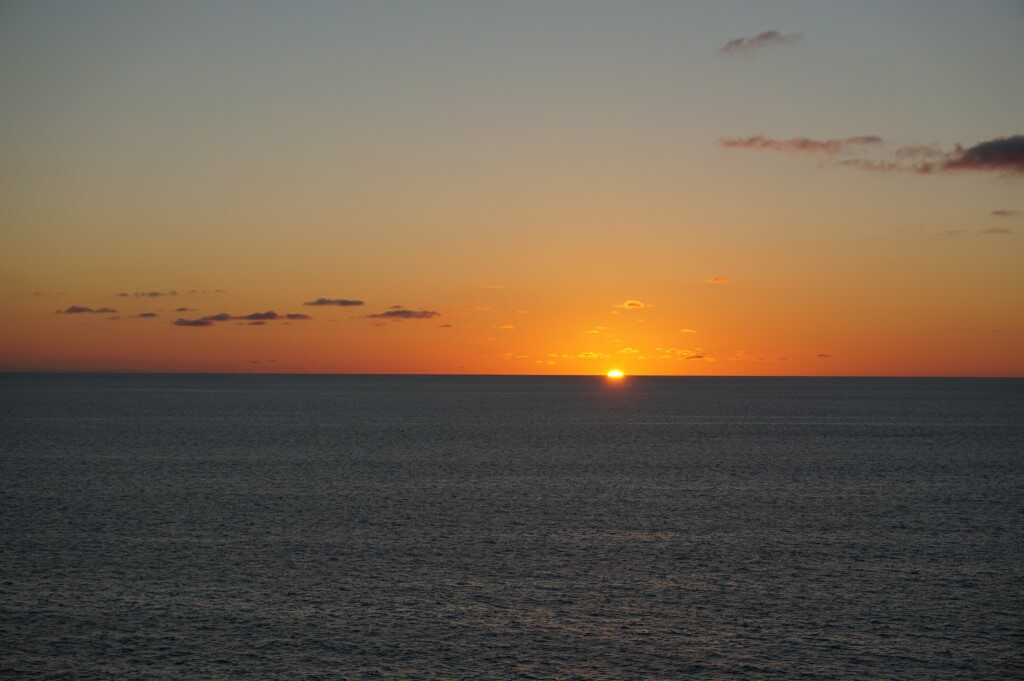 dsc00613_optimized